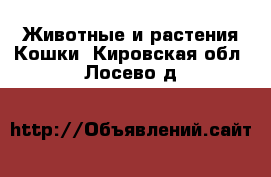 Животные и растения Кошки. Кировская обл.,Лосево д.